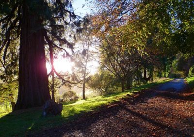 Hawkwood College Grounds and Gardens